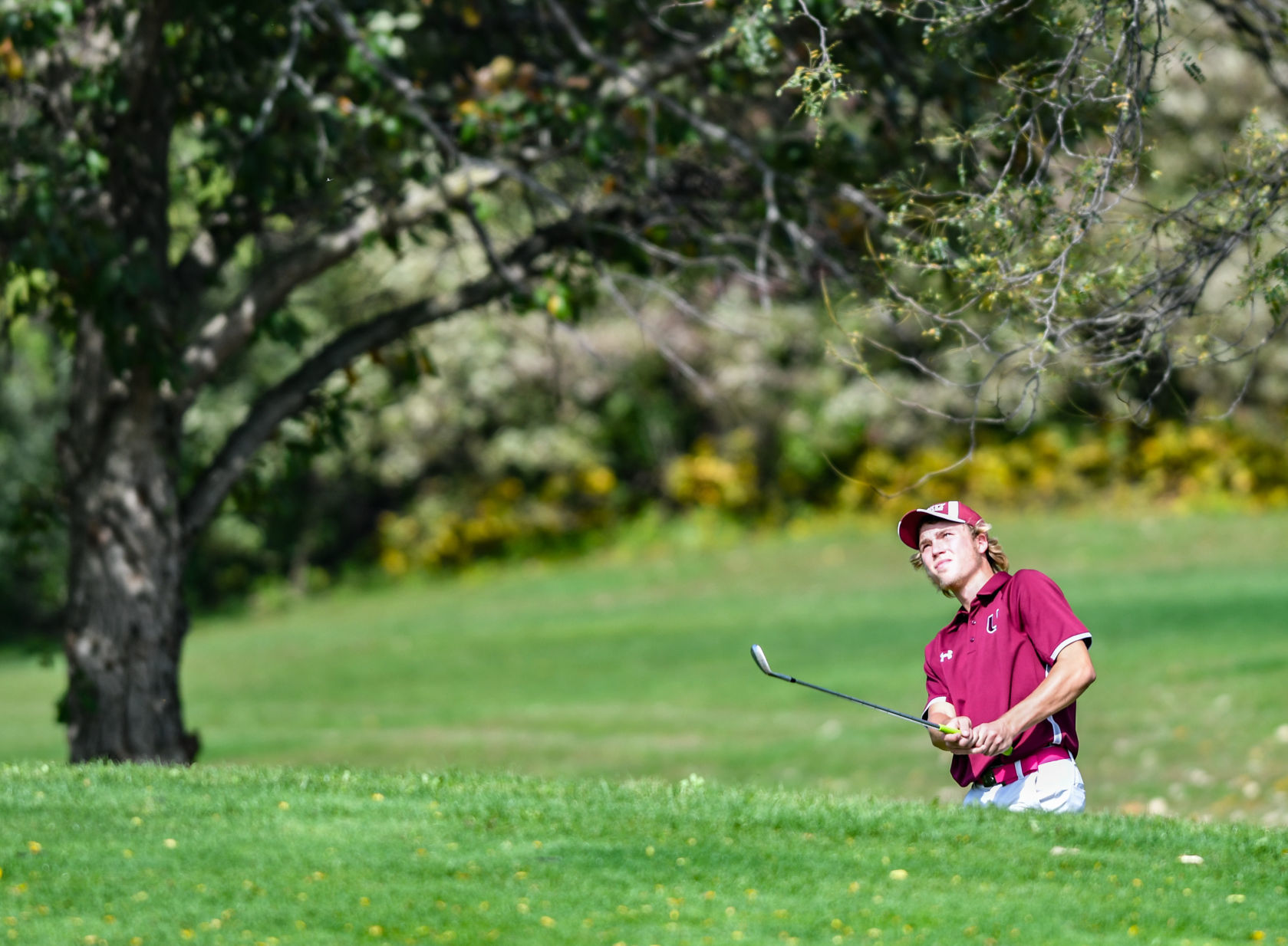 Aledo Class 1A Golf Sectional